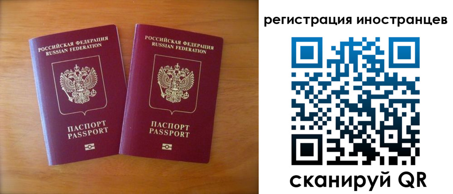 прописка поиск в Кондрово